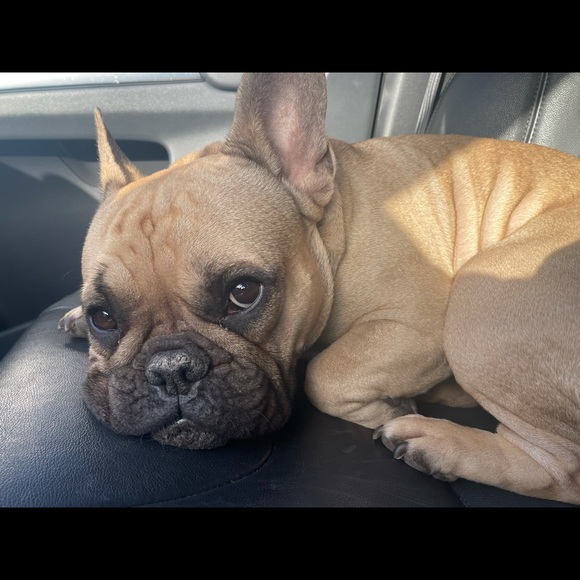 Meet your Posher, Jessica - Picture 7 of 14